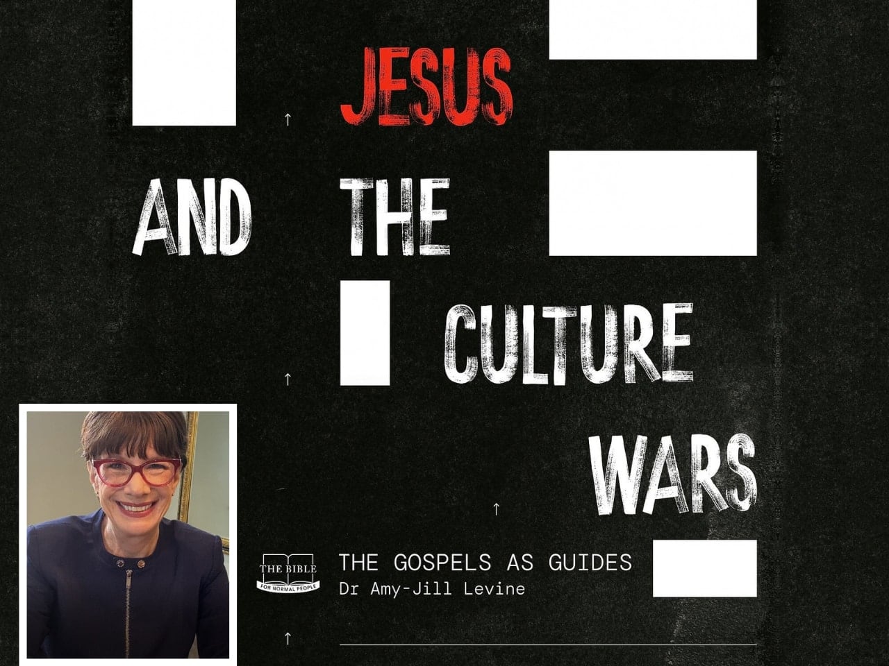 Jesus and the Culture Wars: The Gospels as Guides, with Dr. Amy-Jill Levine course art